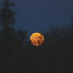 欧美xxxx做受人妖
